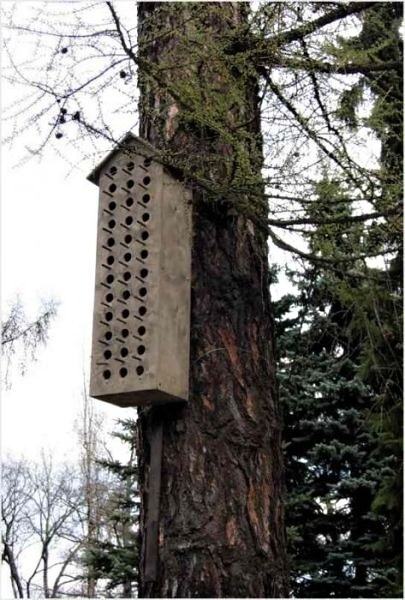 Obrázek Treehostel