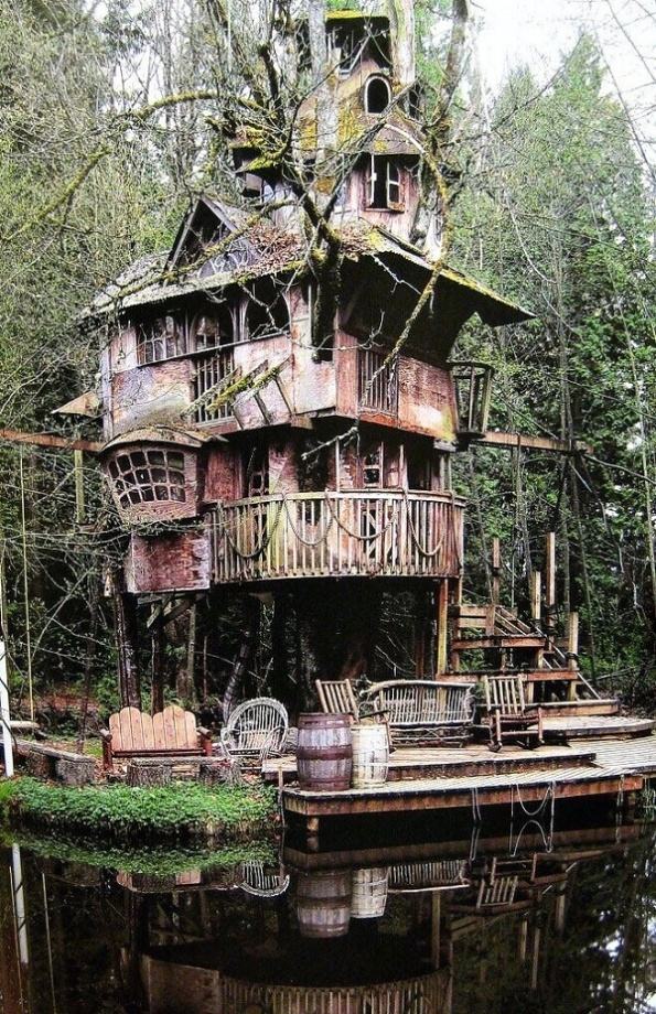 Obrázek Treehouse