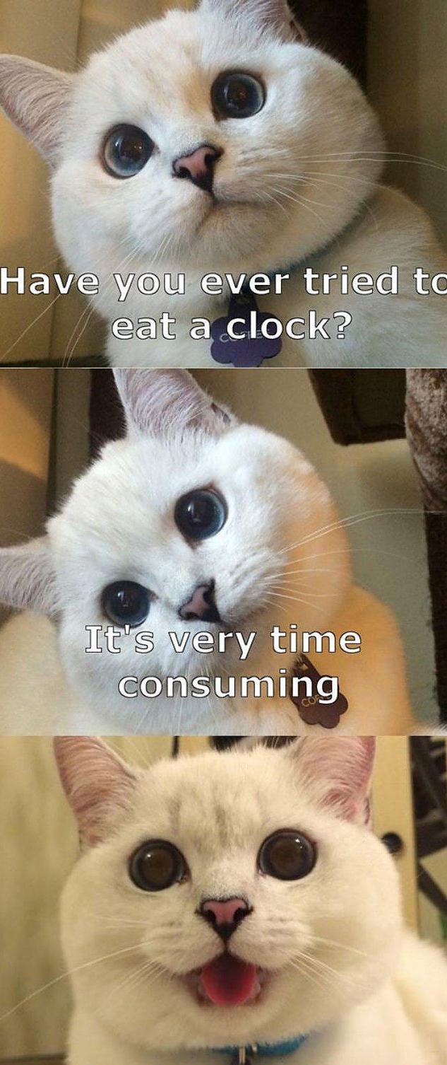 Obrázek Tried To Eat A Clock