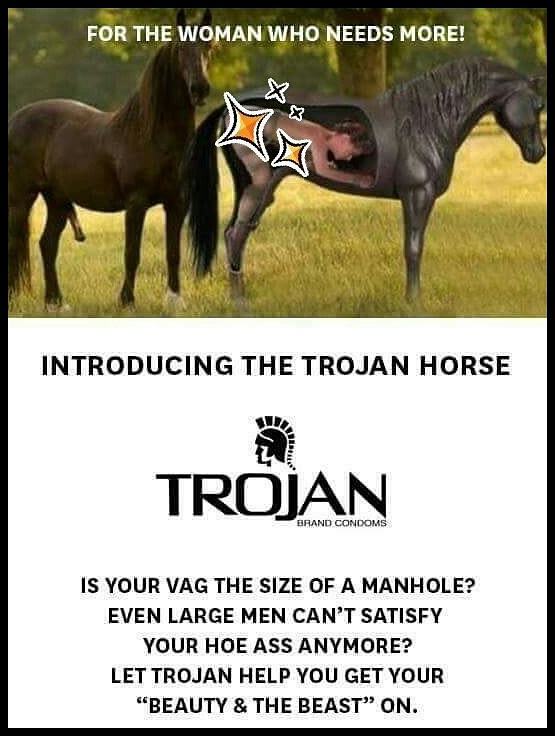 Obrázek Trojan-Horse