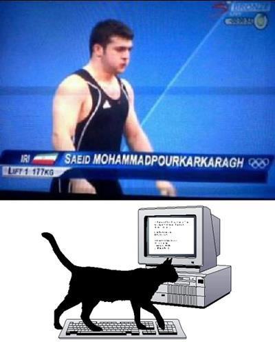 Obrázek Trollcat Olympic Edition