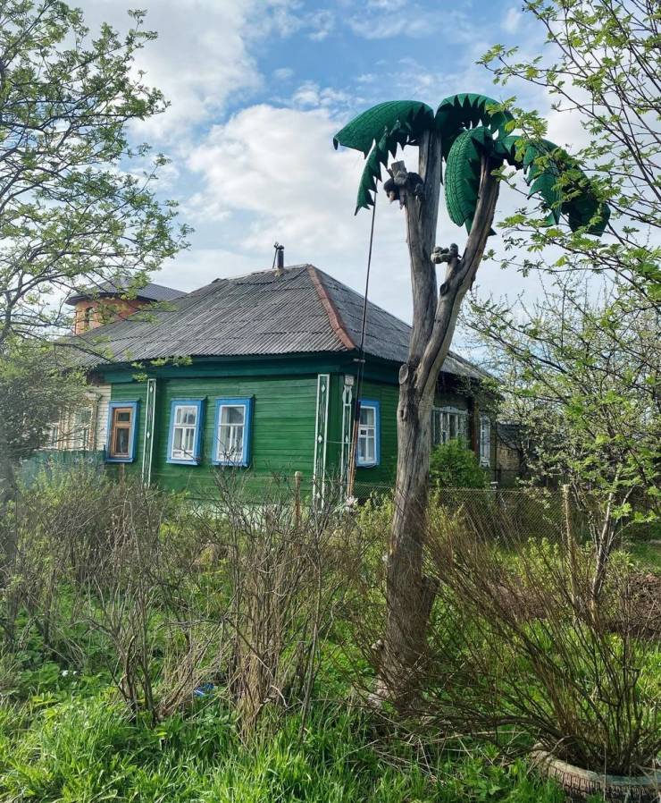 Roumenův Rouming Zábavné a zajímavé obrázky Tropical Russia