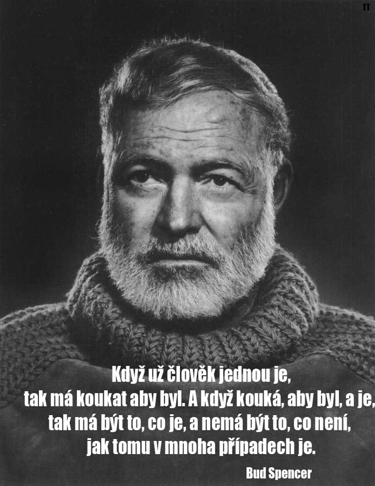 Obrázek True quote