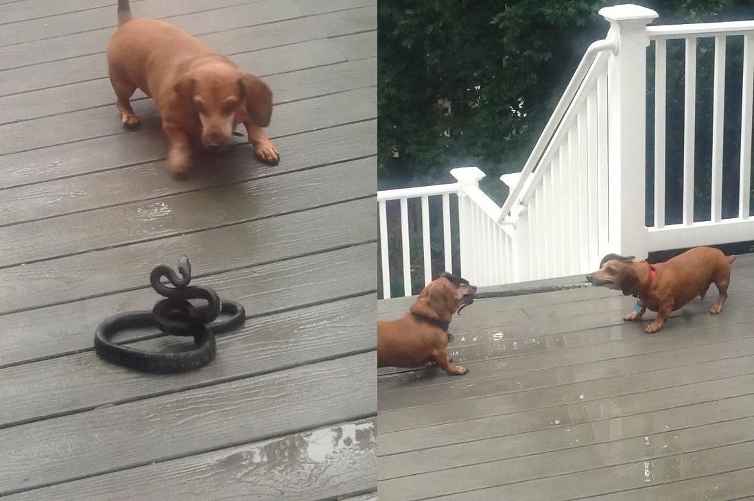 Obrázek Tug Of War  