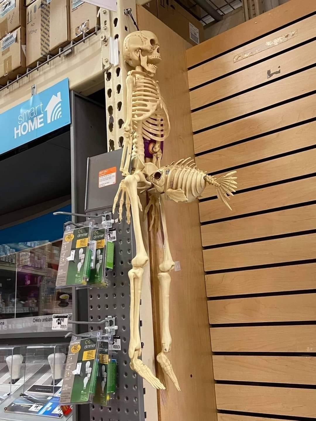 Obrázek Tumblr&nbsp;l&nbsp;77008865894841