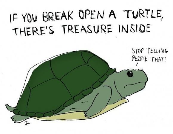 Obrázek Turtle 01-02-2012