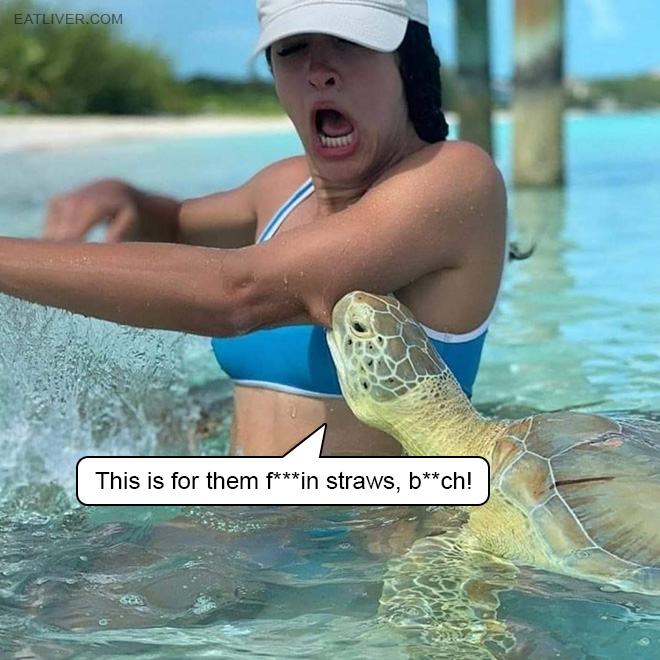 Obrázek Turtle revenge