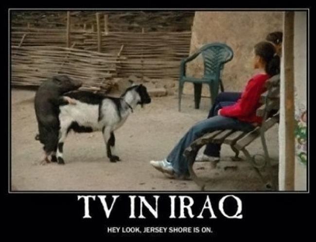 Obrázek Tv In Iraq