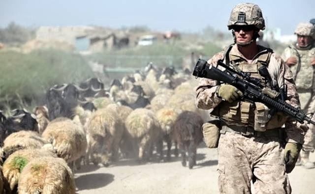 Obrázek US Marines Rescue Taliban Sex Slaves 25-12-2011
