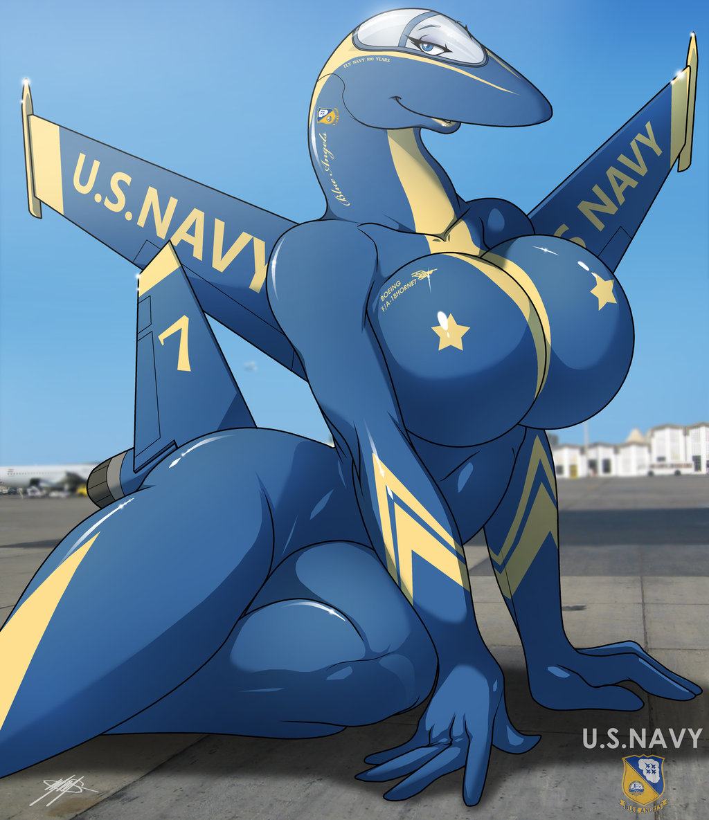 Obrázek US NAVY