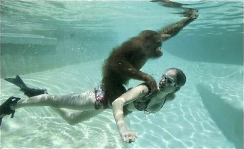 Obrázek Underwater monkey
