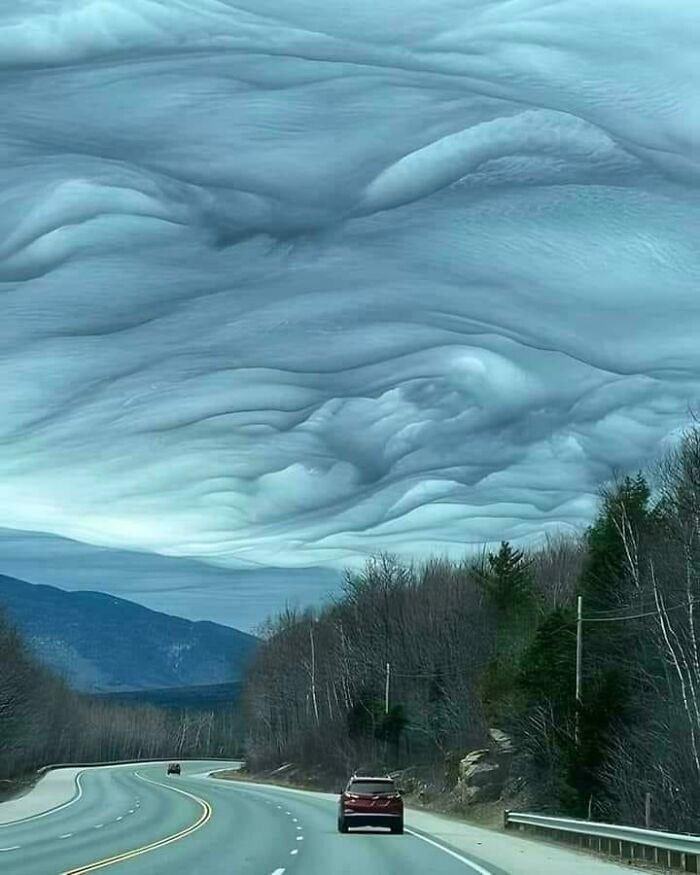 Obrázek Undulatus Asperatus