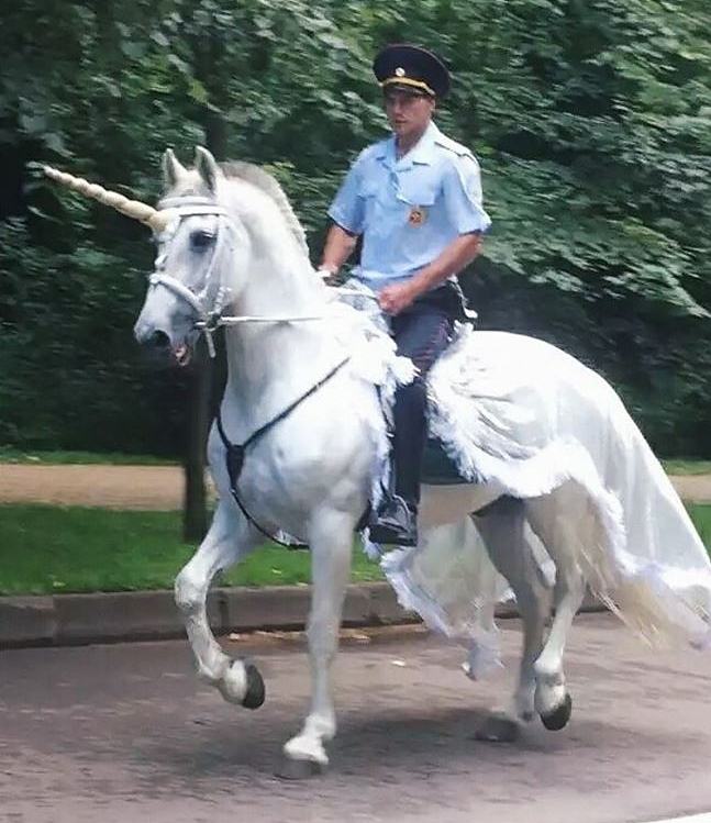 Obrázek Unicorn Police