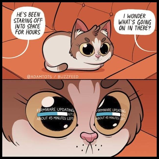 Obrázek UpdatingFirmware