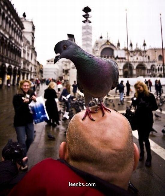 Obrázek Urobime super foto