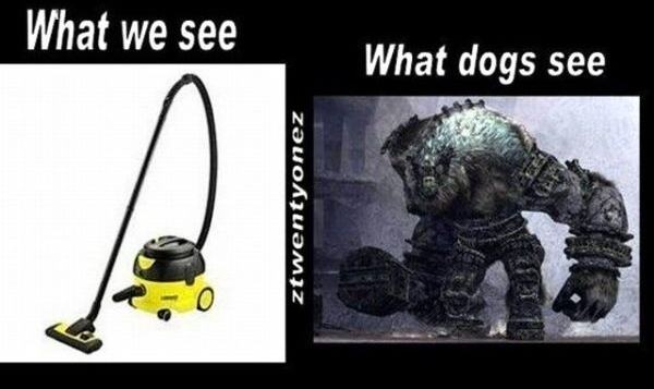 Obrázek Us Vs Dogs