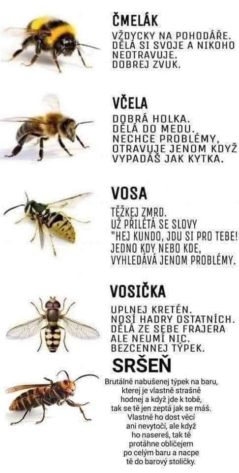 Obrázek Uz brzy 7