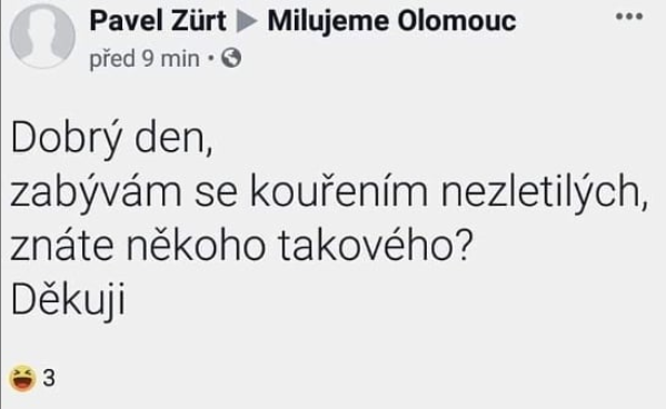 Obrázek V siti 2
