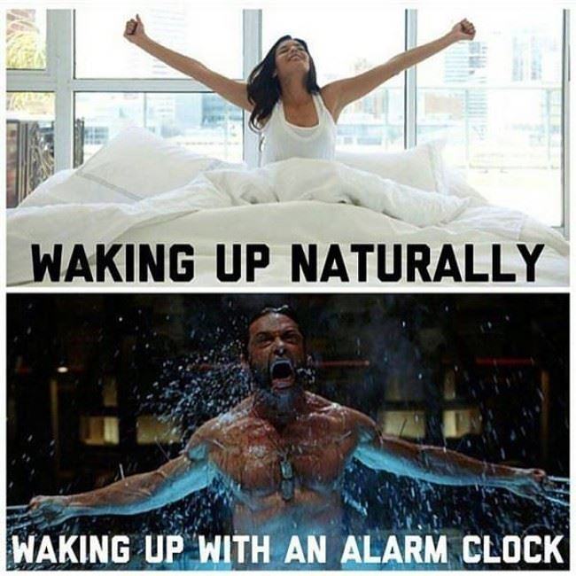 Obrázek Various Ways To Wake Up