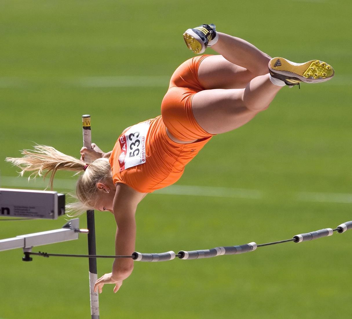 Obrázek Vaulting  