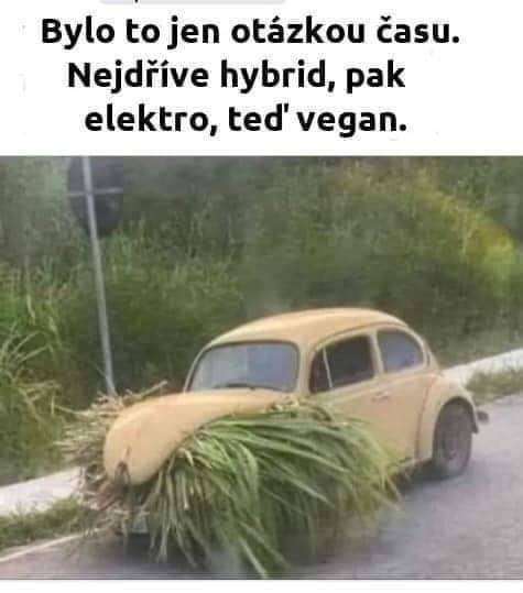 Obrázek VeganCar