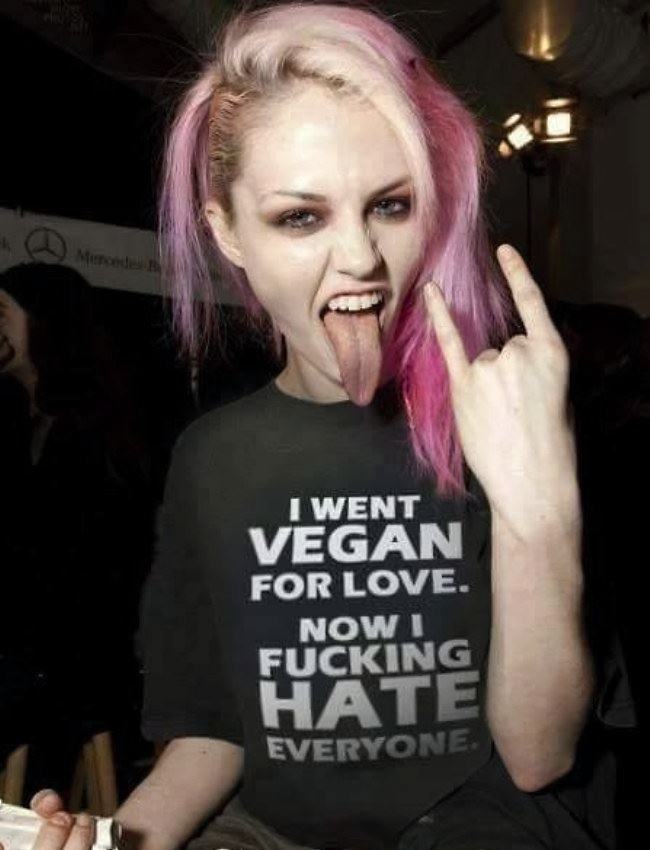 Obrázek Vegan For Love   