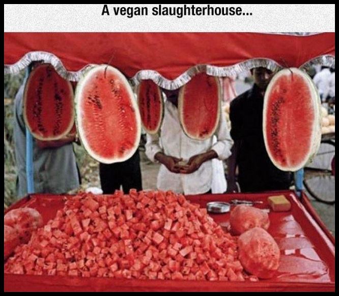 Obrázek Vegan Slaughterhouse