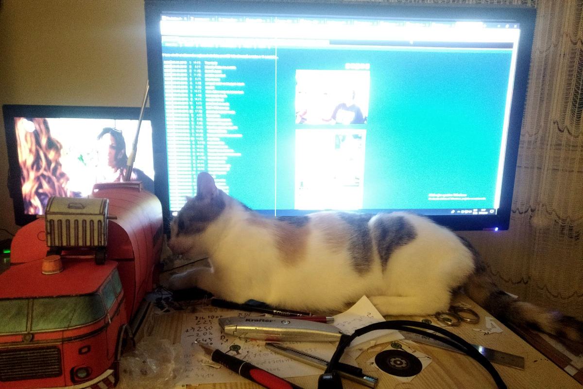 Obrázek ViceKocicekNaStul