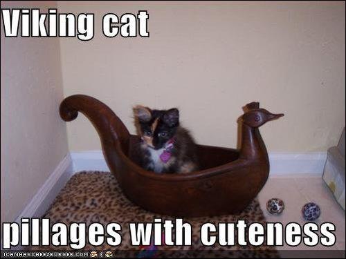 Obrázek Viking Cat