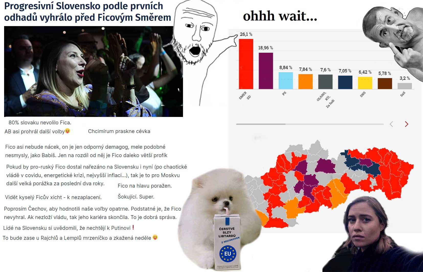 Obrázek Vitezstvi liberalu na slovensku gratuluji