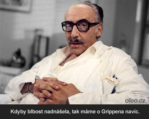 Obrázek Vladni grippeny