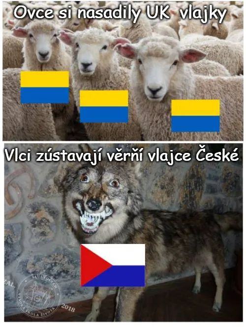 Obrázek Vlcy