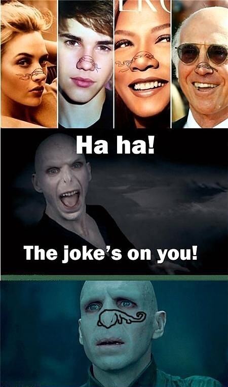 Obrázek Voldemort joke