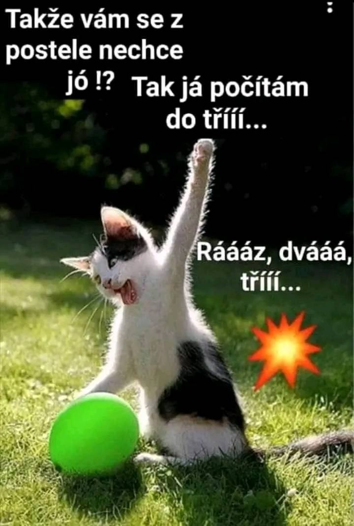 Obrázek VstavatACvicit