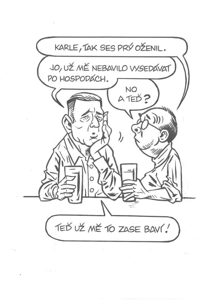 Obrázek Vzhuru do zeneni