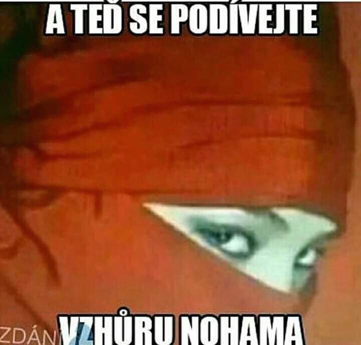 Obrázek Vzhuru nohama