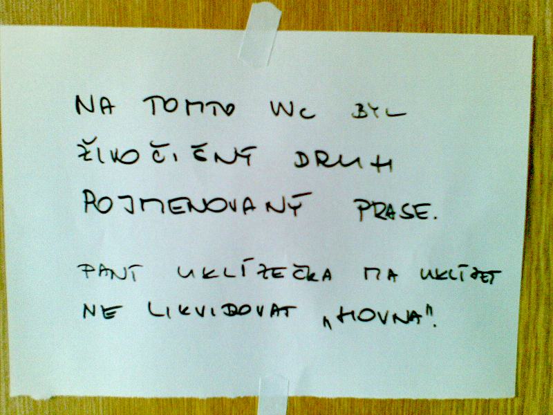 Obrázek WC ve skole