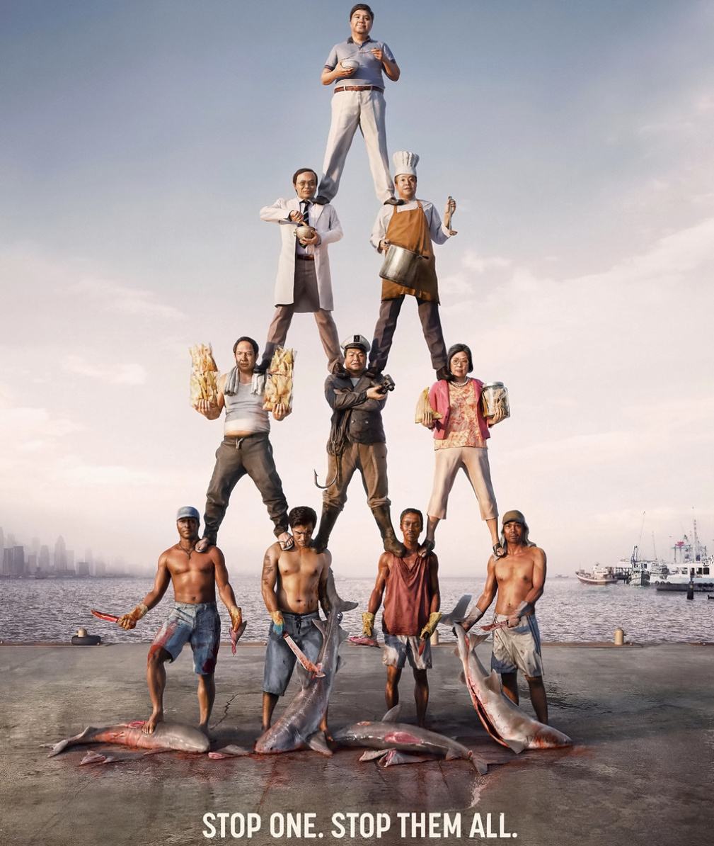 Obrázek WWF-Stop-the-Trade-shark