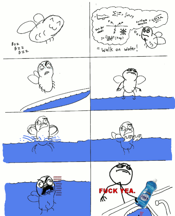Obrázek Walk-on-Water-FFFFUUUU