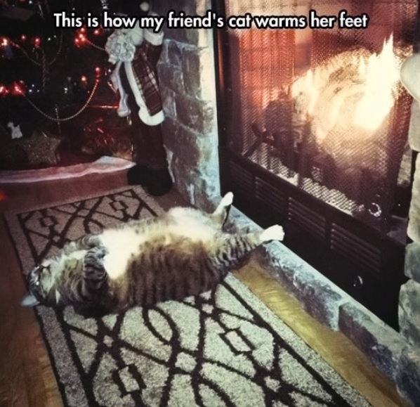 Obrázek Warming My Feets