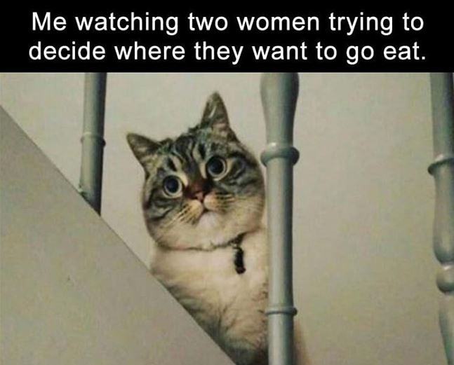 Obrázek Watching Women Decide  