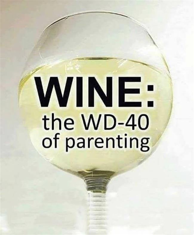 Obrázek Wd40 Of Parenting