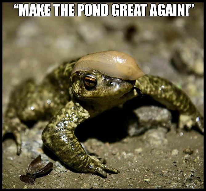 Obrázek We Shall Overcomb  