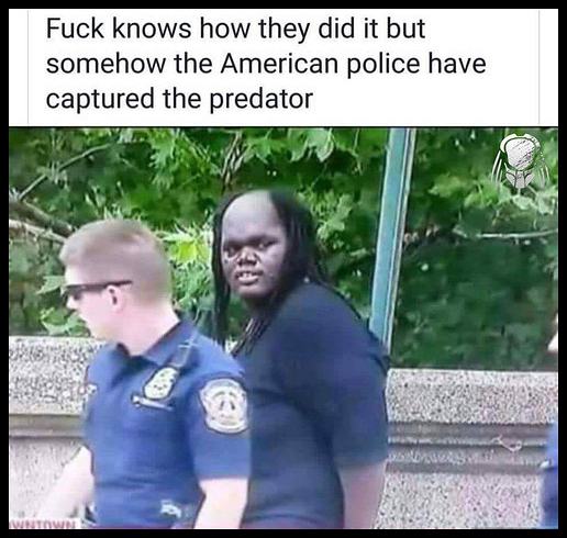 Obrázek We are Number 1