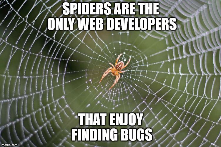 Obrázek Web develper with bugs