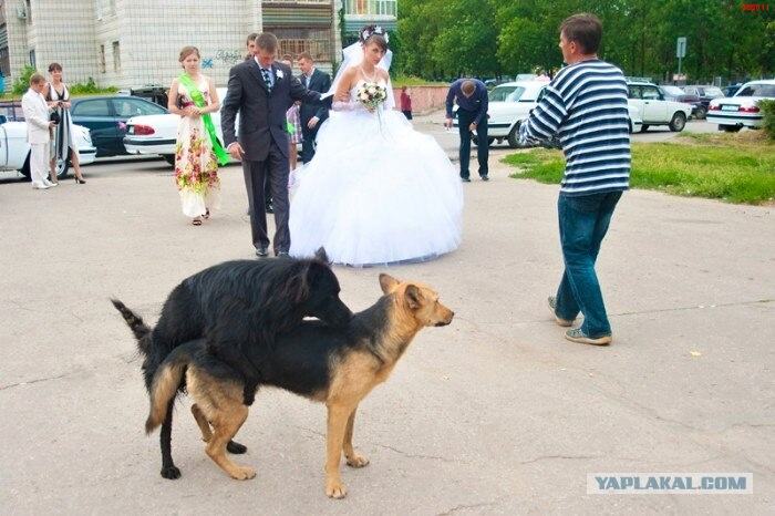 Obrázek Wedding Photography Fails 6