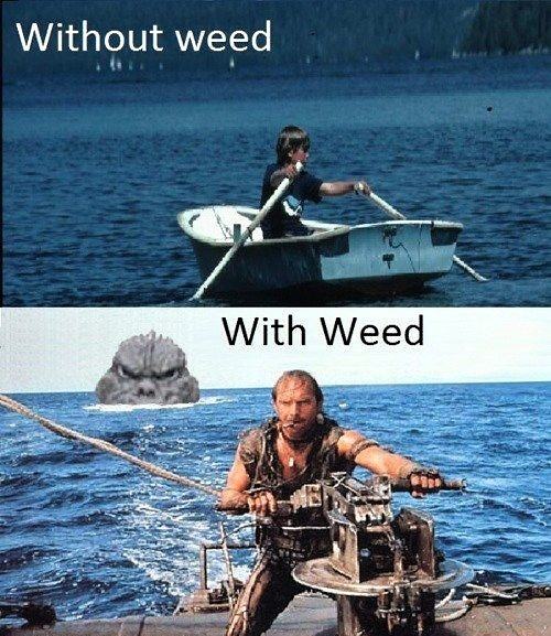 Obrázek Weed 291111