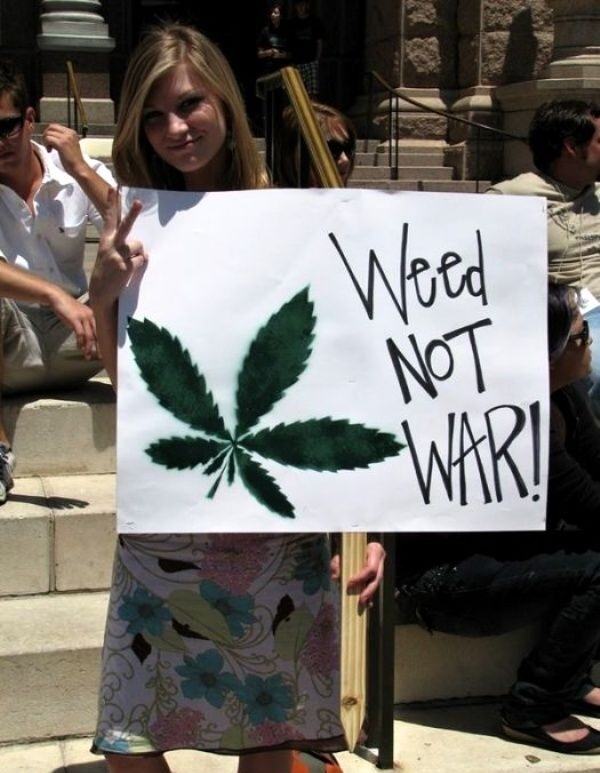 Obrázek Weed Not War