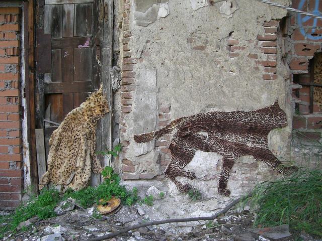 Obrázek Weird Anti Animal Fur Guerilla Art2