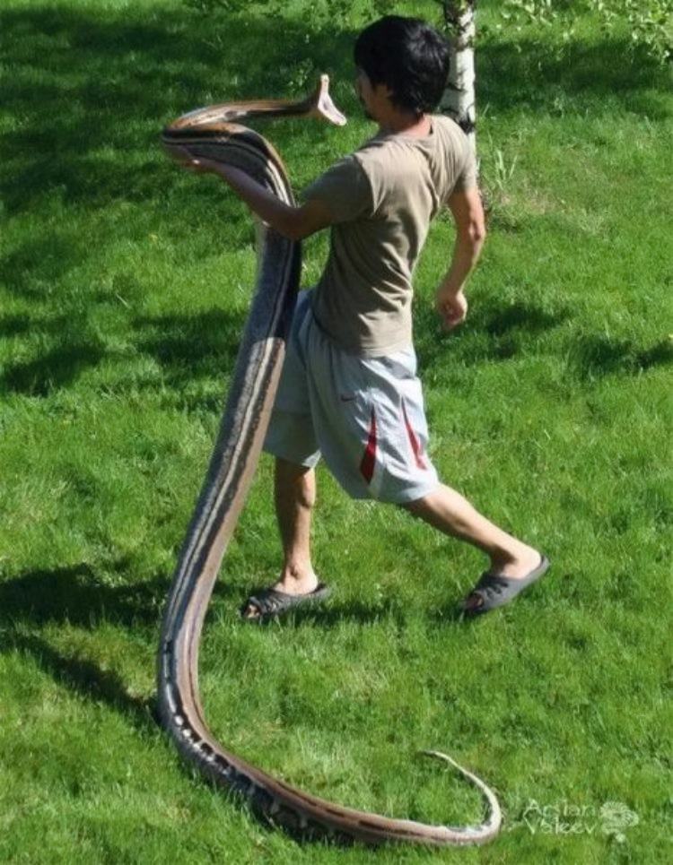 Obrázek Well&nbsp;Hello